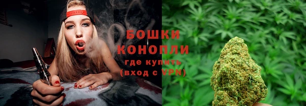 гидра Абаза