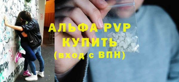 гидра Абаза