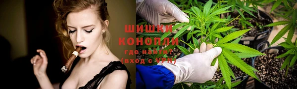 гидра Абаза