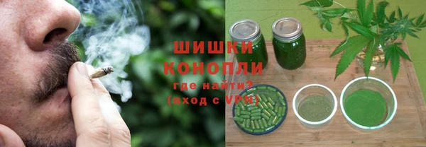 гидра Абаза