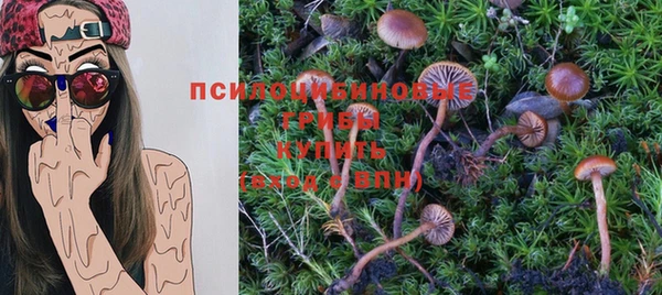 первитин Абинск
